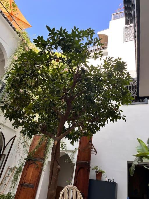 Riad Dar Fannan En Exclusivite Marakeş Dış mekan fotoğraf